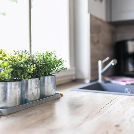Hus Mats Nyaraló Zingst